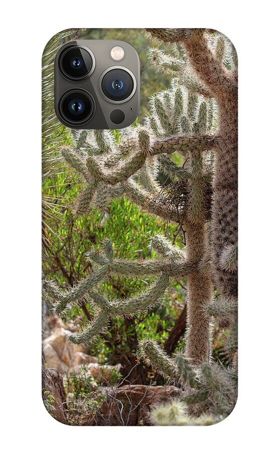 Cacti II - Phone Case