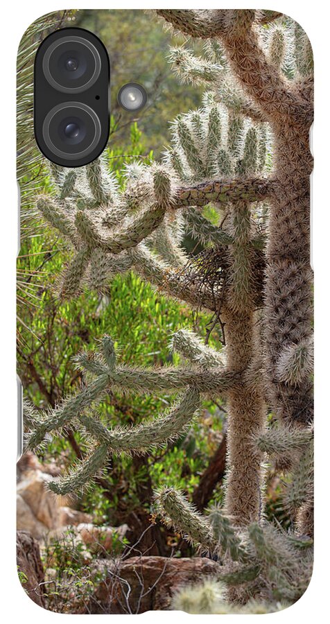 Cacti II - Phone Case