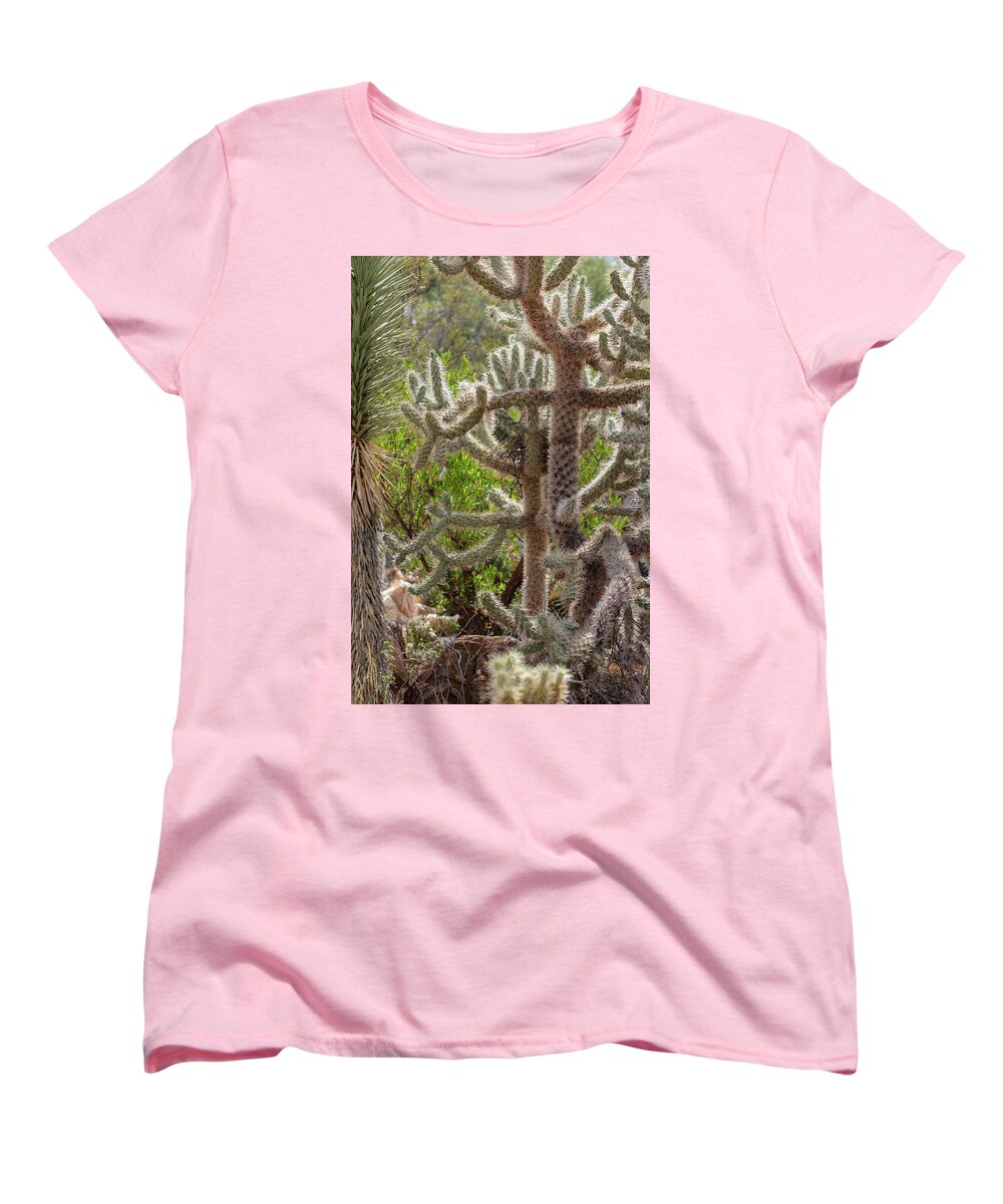 Cacti II - Women's T-Shirt (Standard Fit)