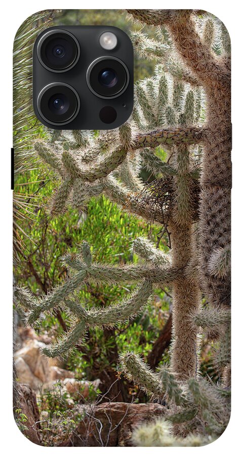 Cacti II - Phone Case