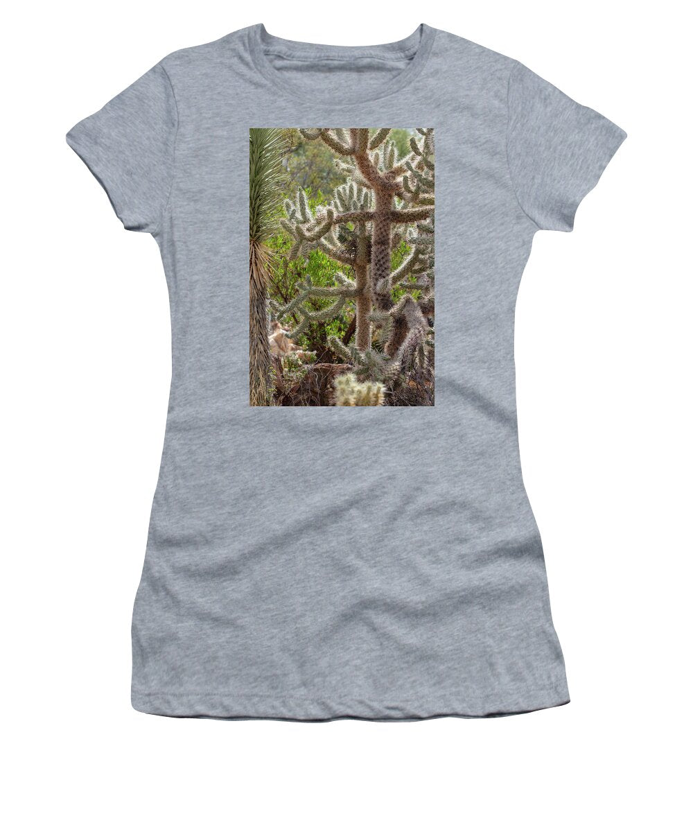 Cacti II - Women's T-Shirt