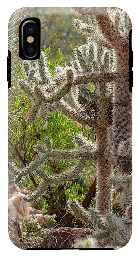 Cacti II - Phone Case