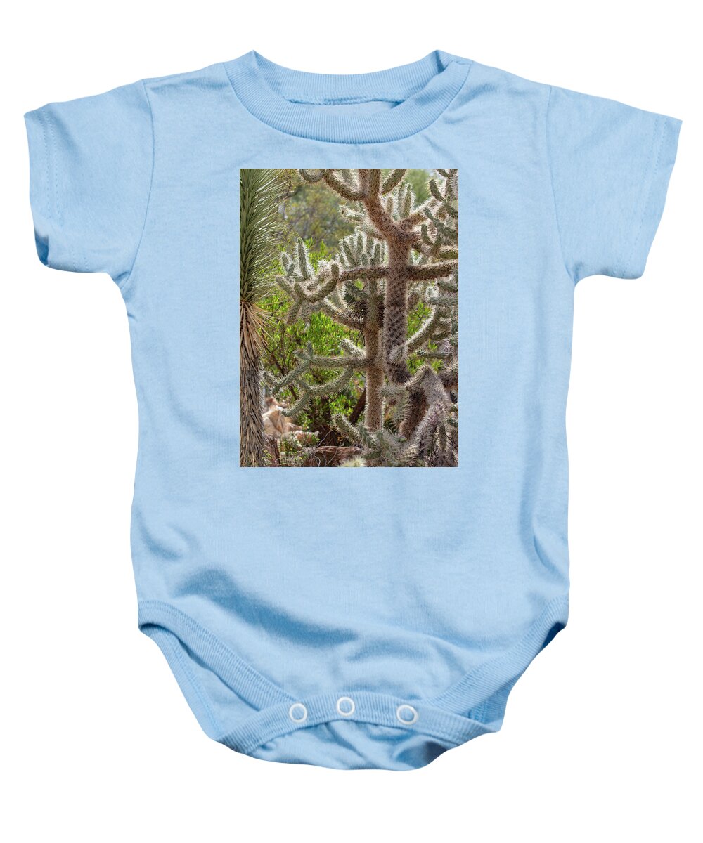 Cacti II - Baby Onesie