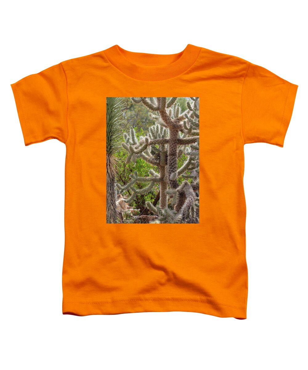 Cacti II - Toddler T-Shirt