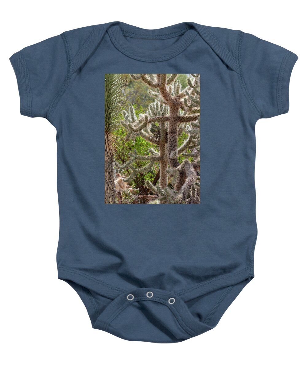 Cacti II - Baby Onesie