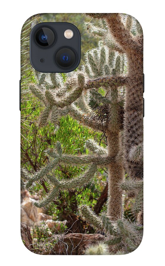 Cacti II - Phone Case