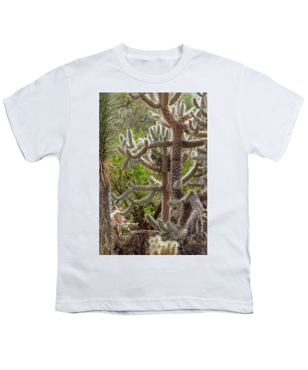 Cacti II - Youth T-Shirt