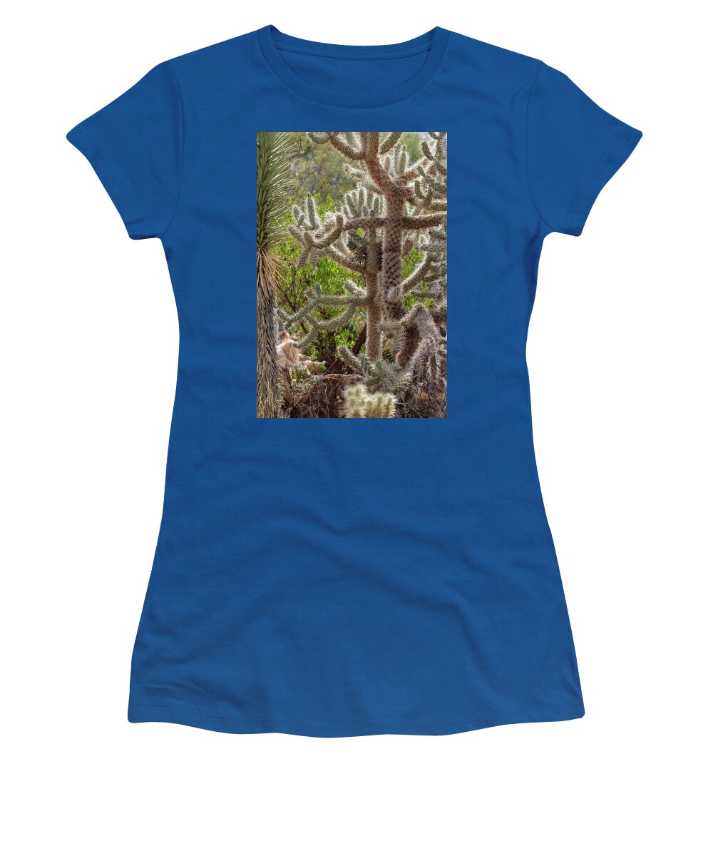 Cacti II - Women's T-Shirt