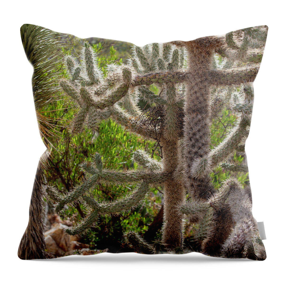 Cacti II - Throw Pillow
