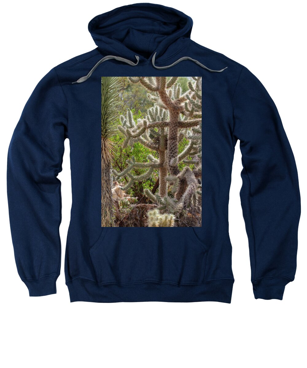 Cacti II - Sweatshirt