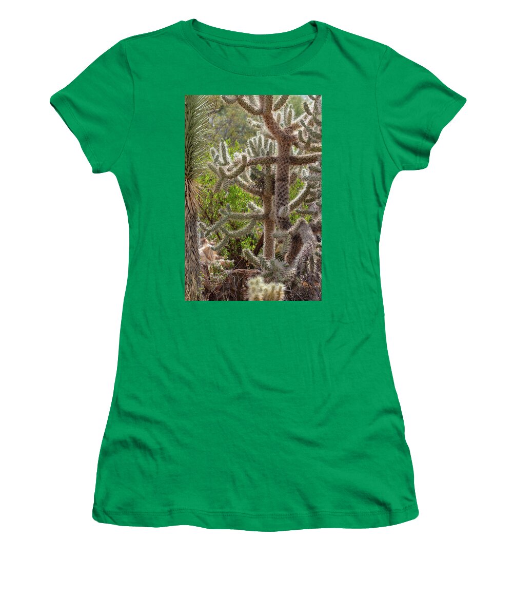 Cacti II - Women's T-Shirt