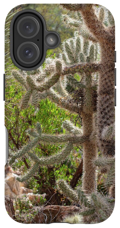 Cacti II - Phone Case
