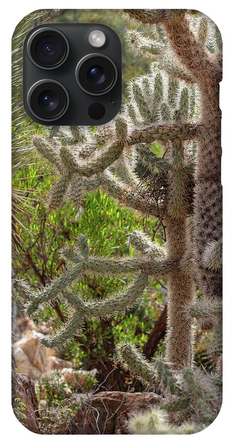 Cacti II - Phone Case