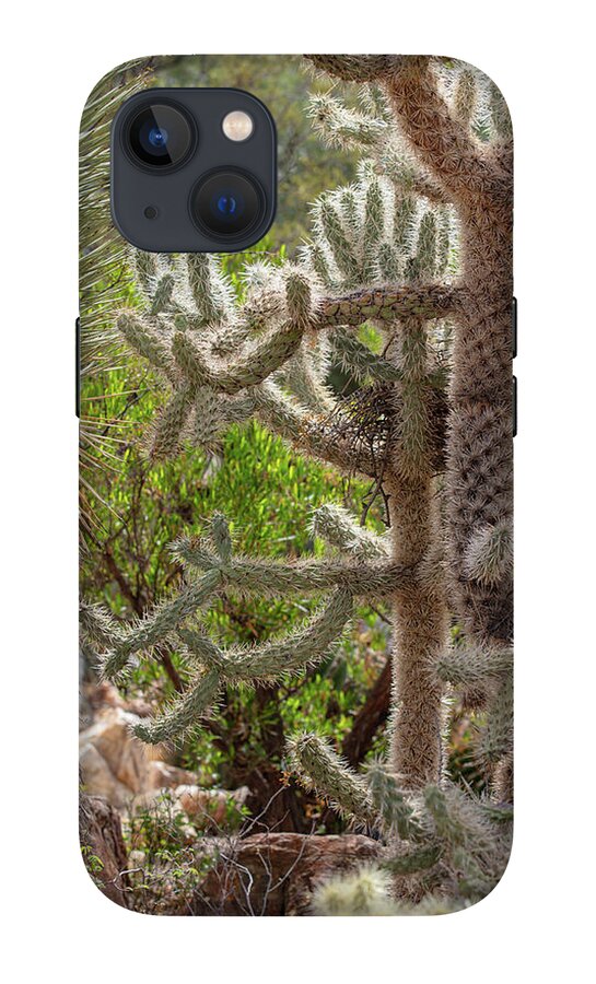 Cacti II - Phone Case