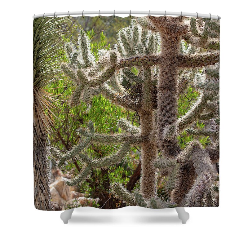 Cacti II - Shower Curtain