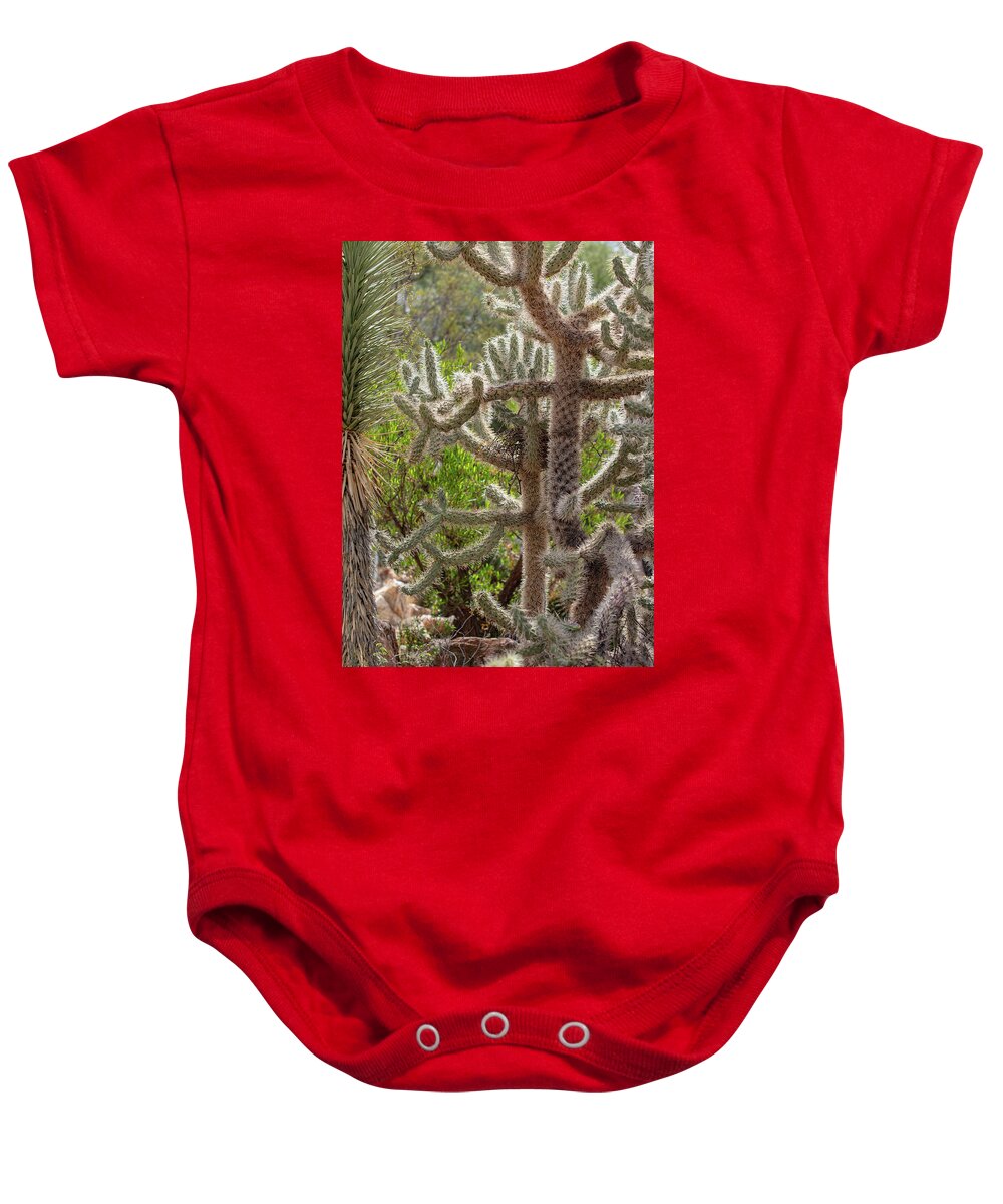 Cacti II - Baby Onesie