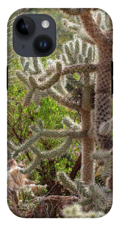 Cacti II - Phone Case