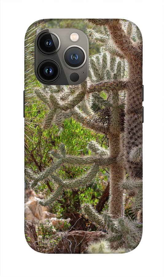 Cacti II - Phone Case