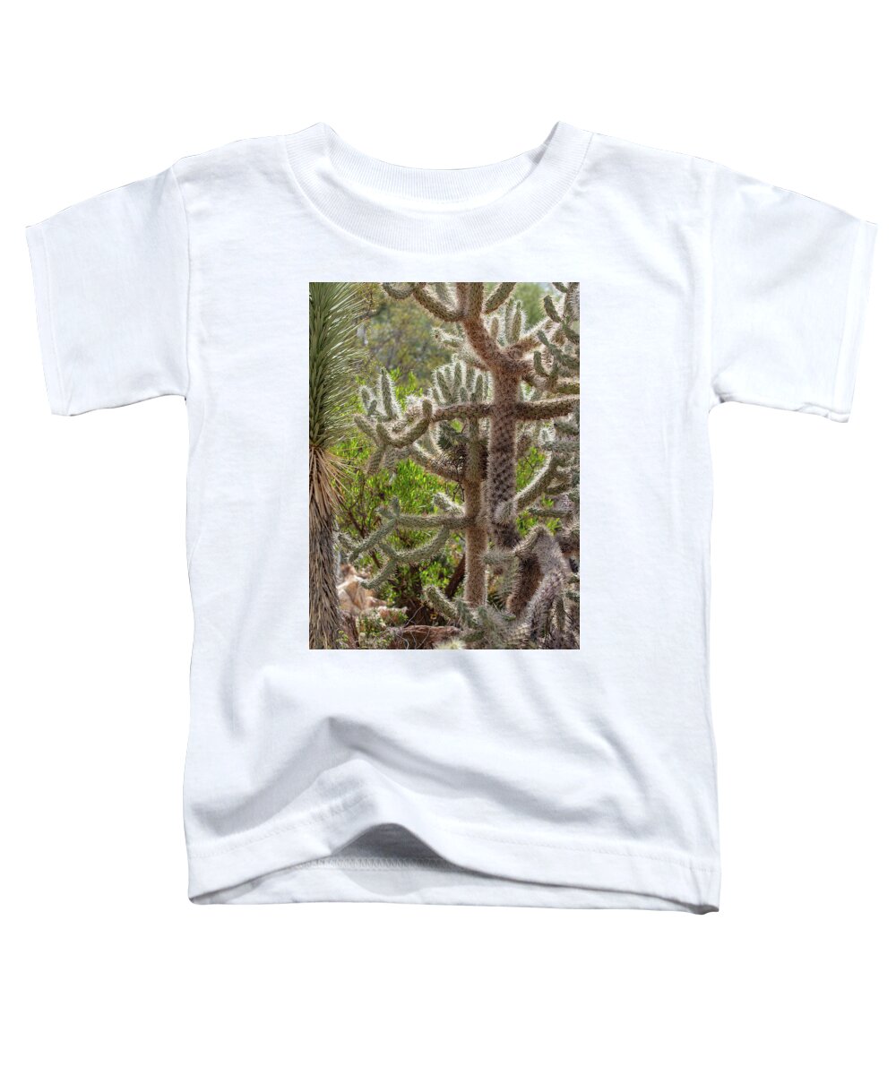 Cacti II - Toddler T-Shirt