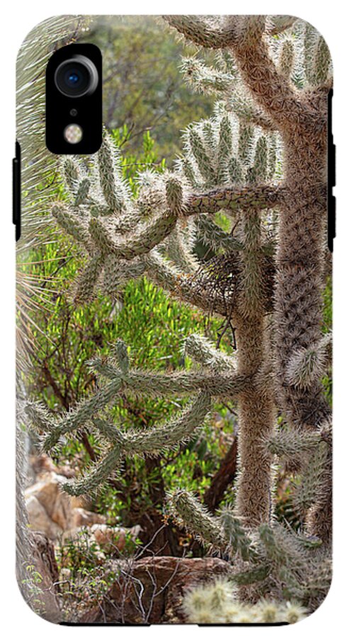 Cacti II - Phone Case
