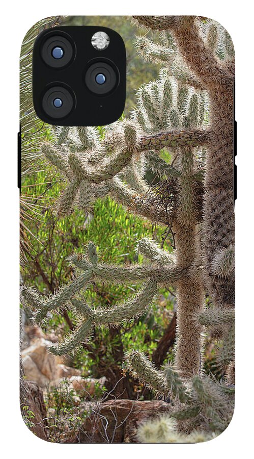 Cacti II - Phone Case