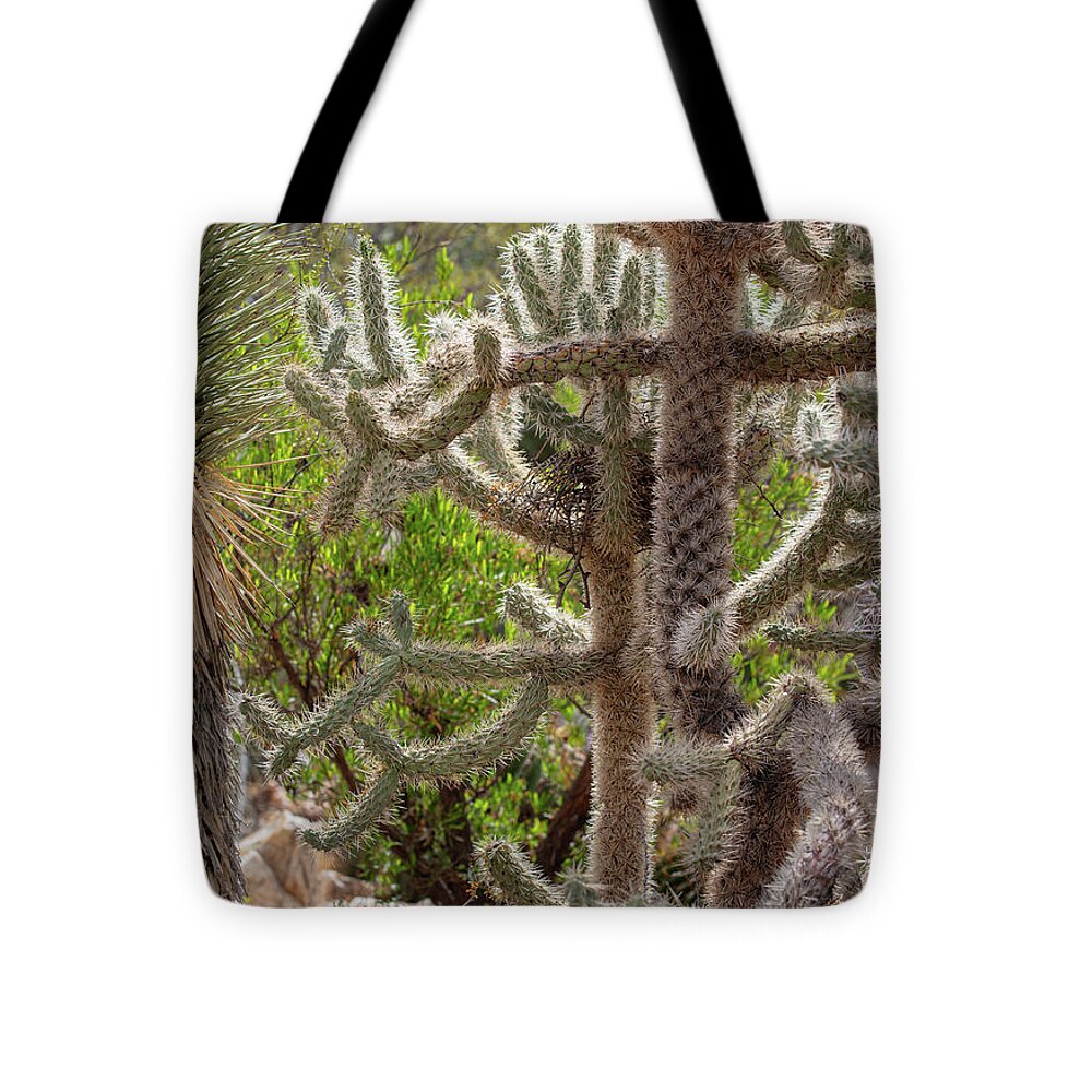 Cacti II - Tote Bag