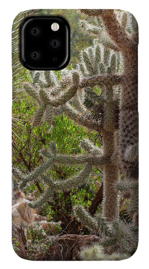 Cacti II - Phone Case