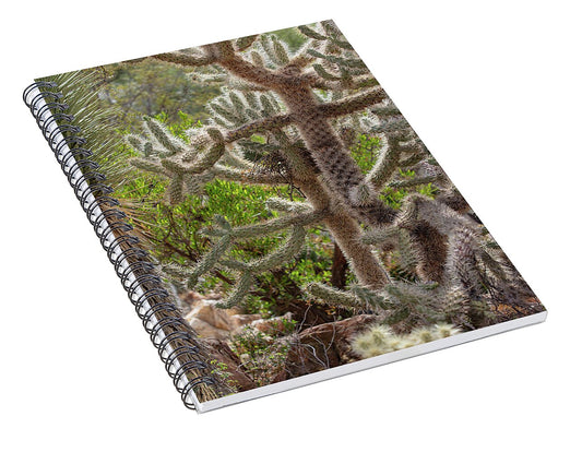 Cacti II - Spiral Notebook