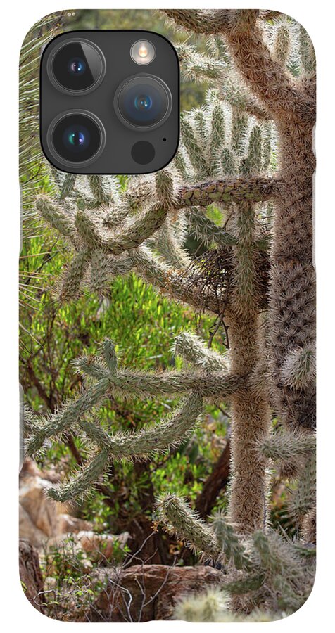 Cacti II - Phone Case