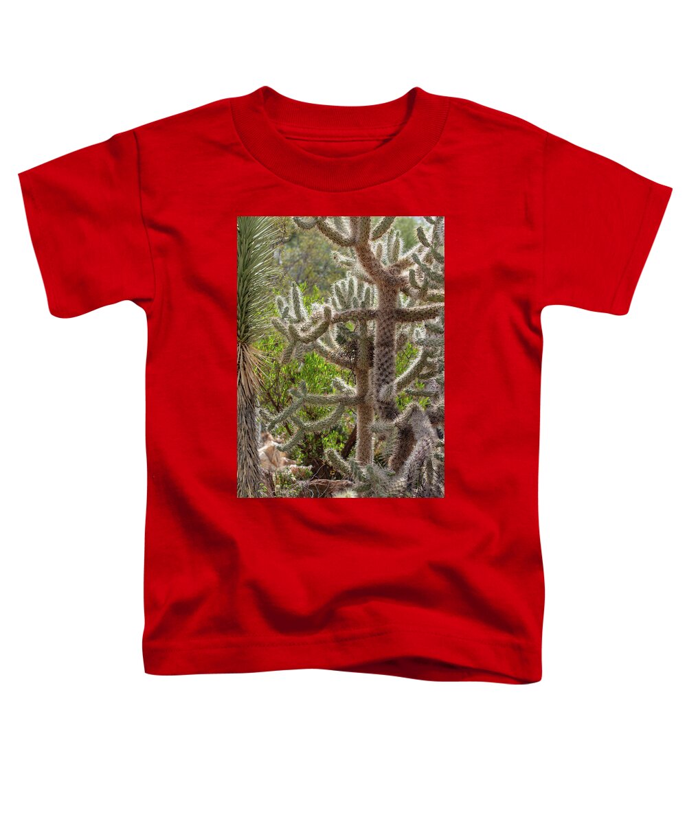 Cacti II - Toddler T-Shirt
