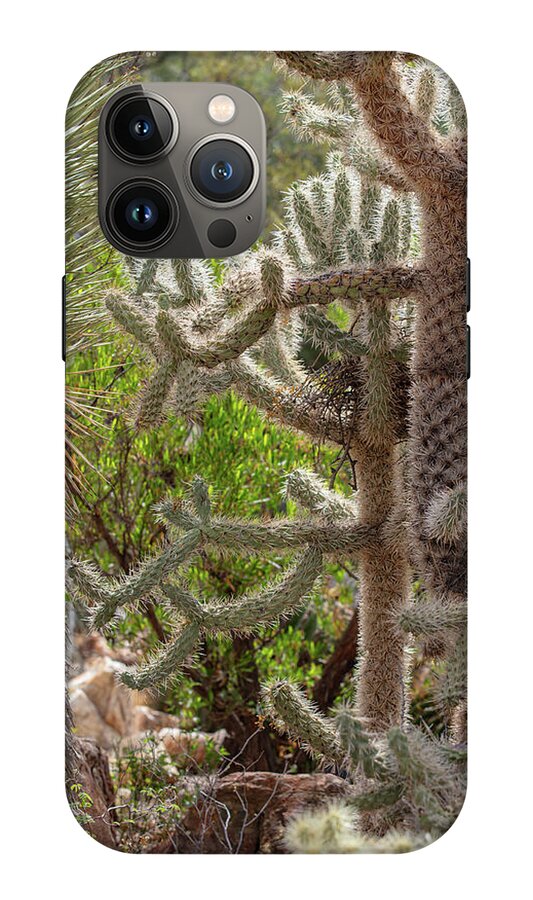 Cacti II - Phone Case
