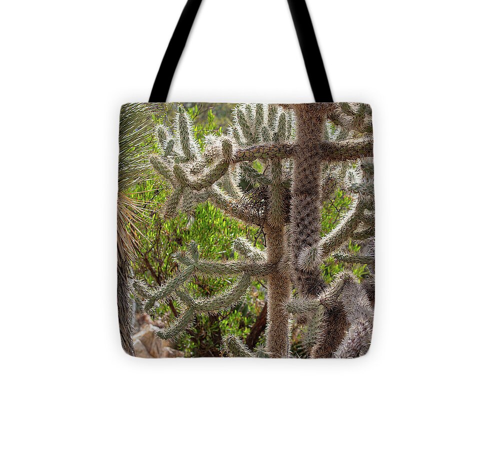 Cacti II - Tote Bag