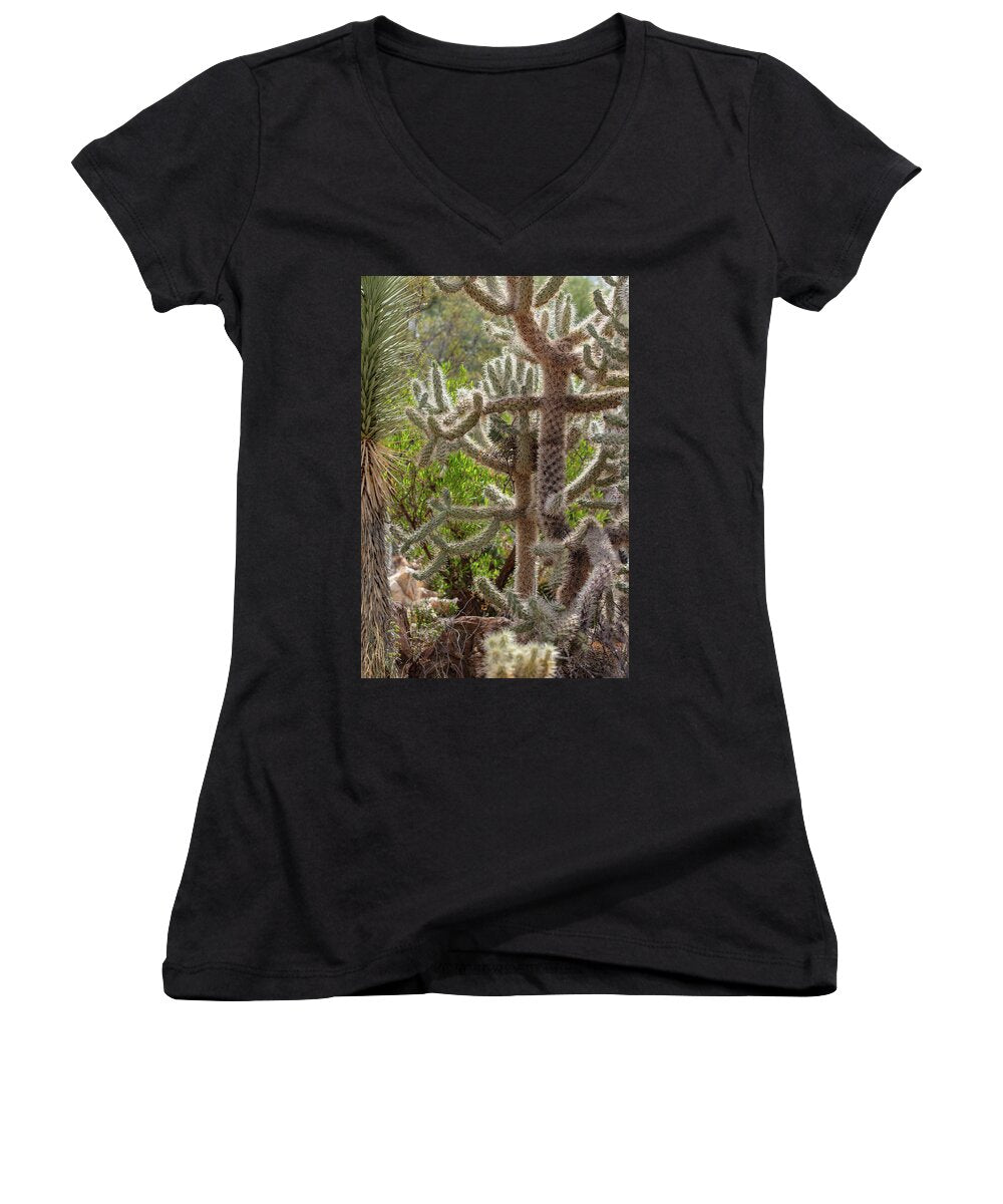 Cacti II - Women's V-Neck