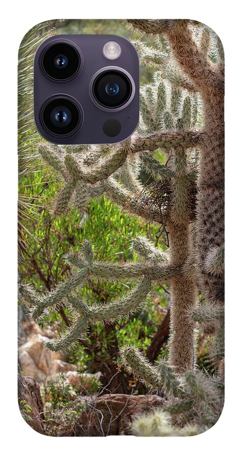 Cacti II - Phone Case