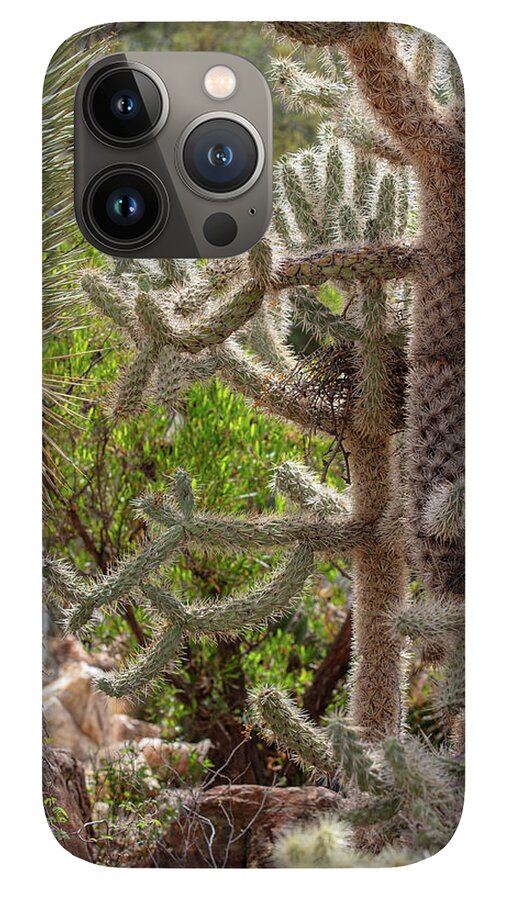 Cacti II - Phone Case