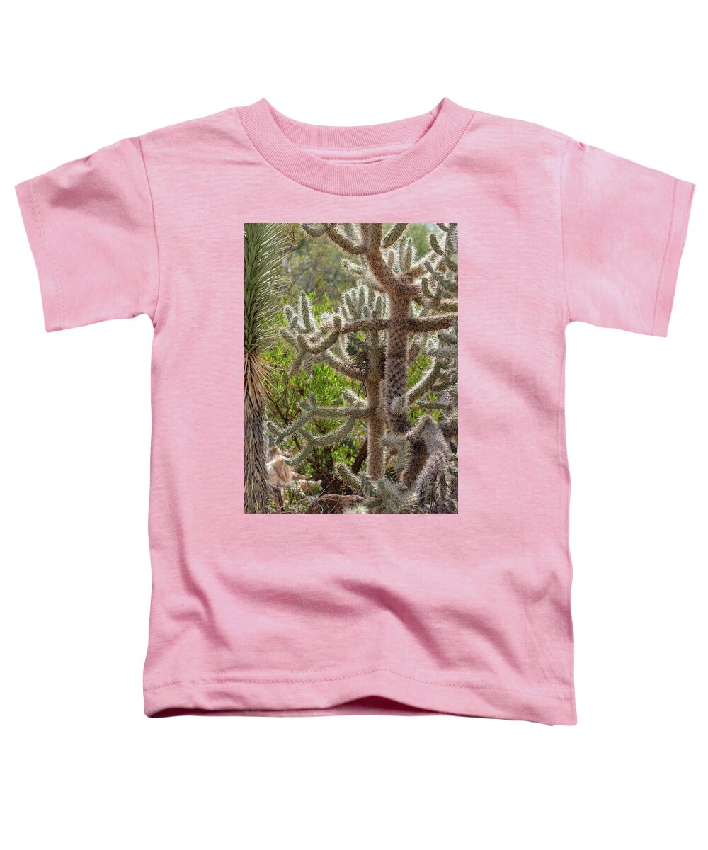 Cacti II - Toddler T-Shirt