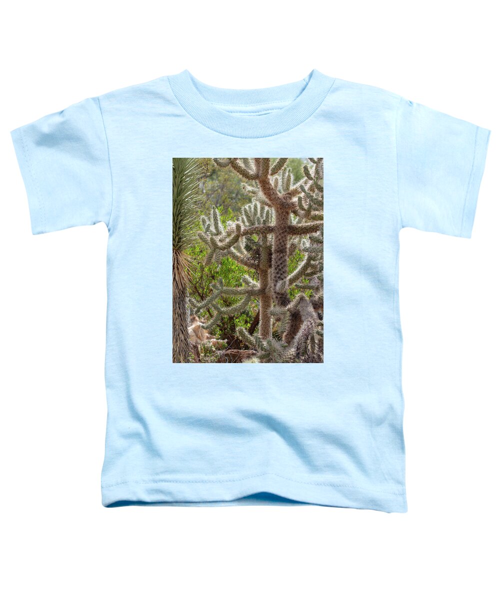 Cacti II - Toddler T-Shirt