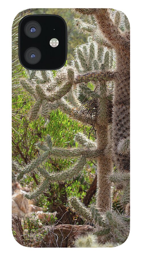 Cacti II - Phone Case