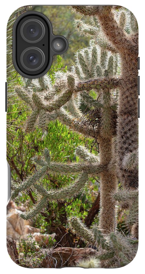Cacti II - Phone Case