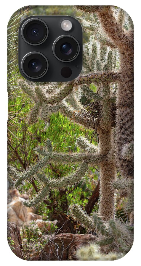 Cacti II - Phone Case
