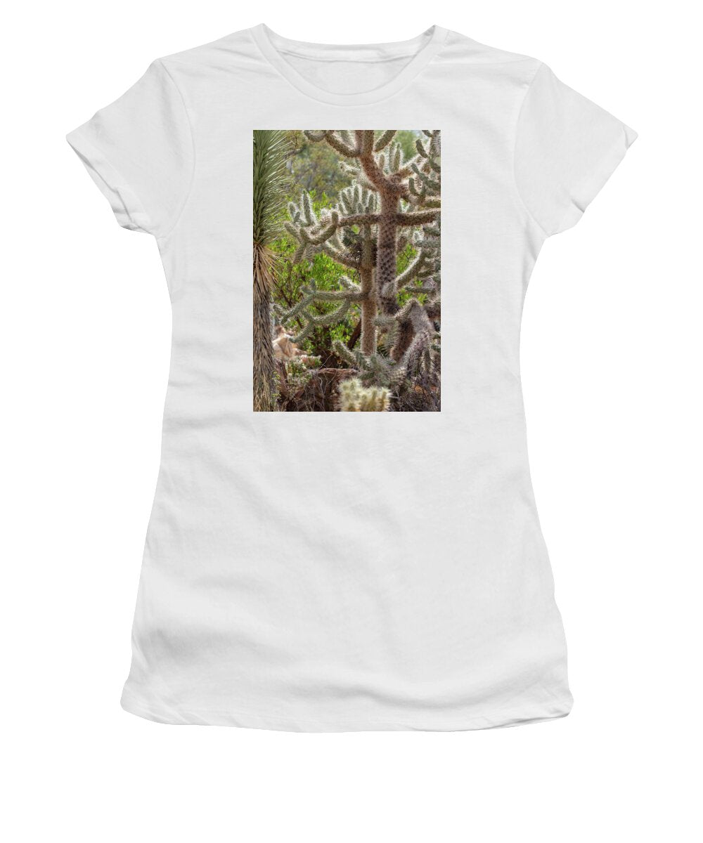 Cacti II - Women's T-Shirt