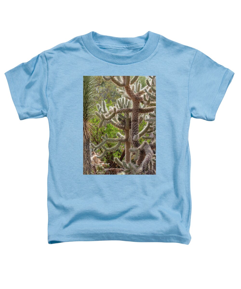 Cacti II - Toddler T-Shirt