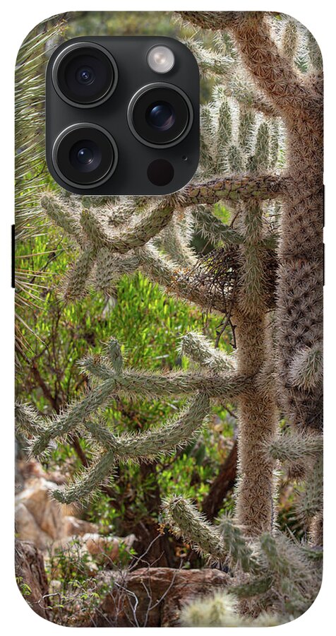 Cacti II - Phone Case