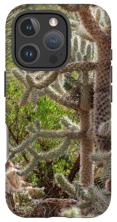 Cacti II - Phone Case
