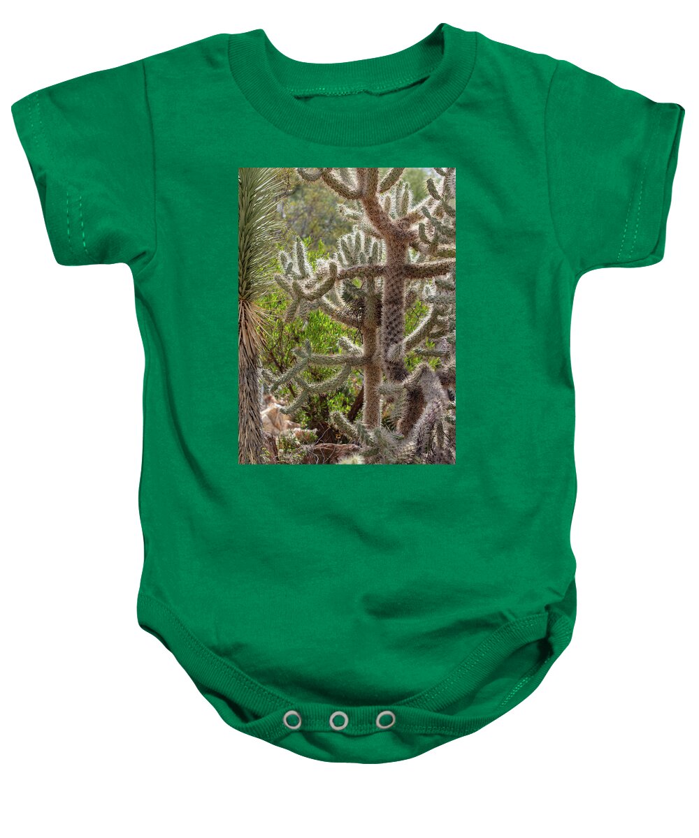 Cacti II - Baby Onesie