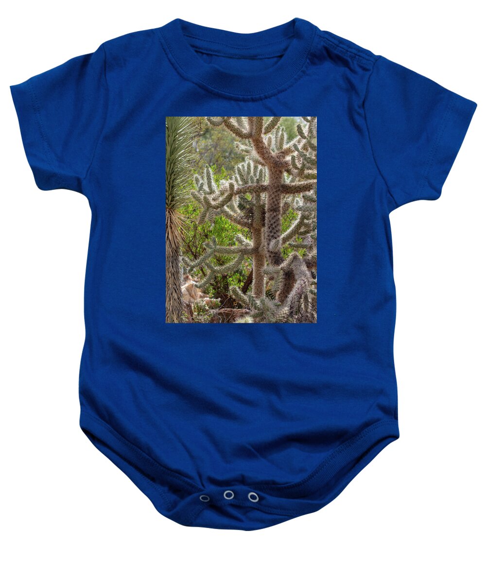 Cacti II - Baby Onesie