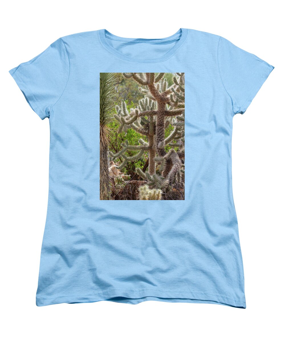 Cacti II - Women's T-Shirt (Standard Fit)