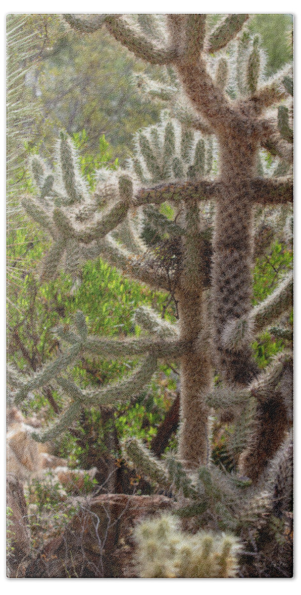 Cacti II - Beach Towel