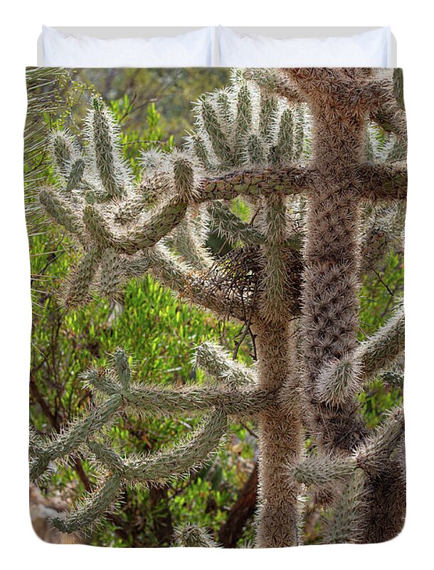 Cacti II - Duvet Cover