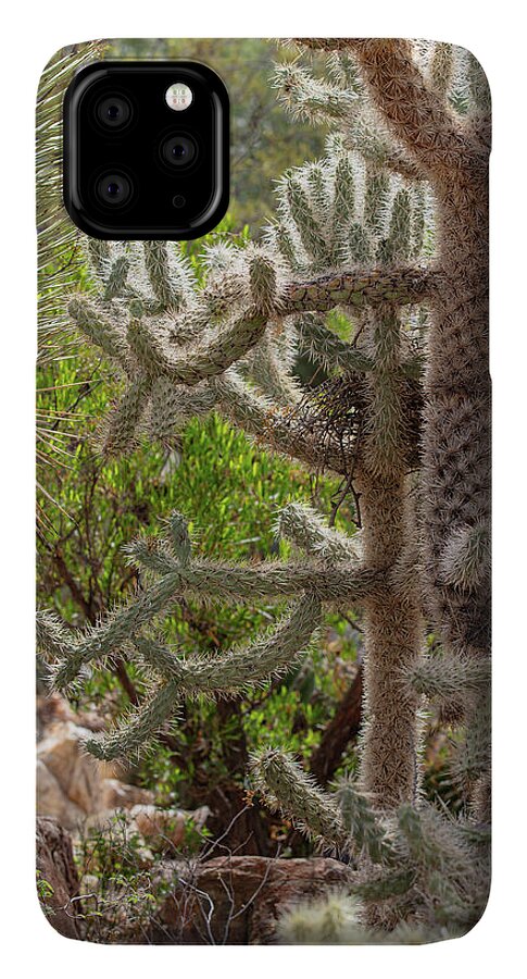 Cacti II - Phone Case